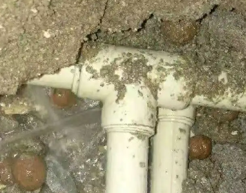 城口测漏水多少钱