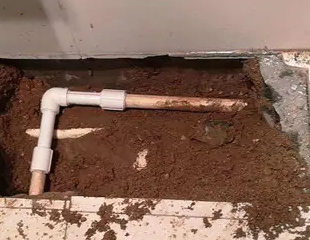 城口测漏水哪家好