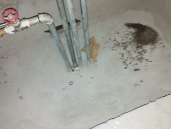 城口卫生间测漏水价格明细