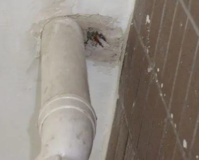 城口漏水检测哪家好